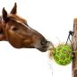 Preview: heuball slowfeeder futterspielball beschaeftigungsball gruen pferd