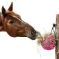 Preview: heuball slowfeeder futterspielball beschaeftigungsball pink pferd