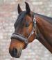 Preview: Waldhausen Halfter Elegant | Vollblut