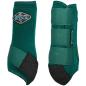 Preview: 2XCool Vorderbein-Gamaschen für Pferde von Professionals Choice, 2er Set – leichte, atmungsaktive Schutzgamaschen Grün