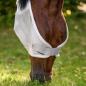 Preview: Waldhausen Premium Fliegenmaske mit Ohrenschutz | UV-Schutz