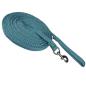 Preview: Longierleine tuerkis mit stabilem Karabinerhaken für sicheres Longieren und Training