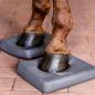 Preview: Waldhausen Health and Care Balance Pads für das Gleichgewichtstraining beim Pferd, Detailansicht