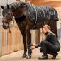 Preview: Waldhausen Health and Care TecSupreme Gamasche bei der Anwendung am Pferd