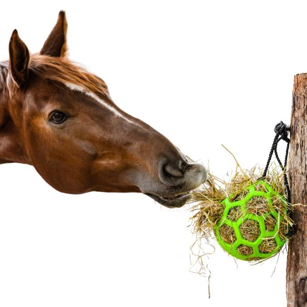 heuball slowfeeder futterspielball beschaeftigungsball gruen pferd
