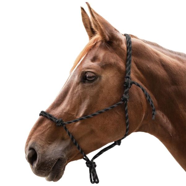 Waldhausen Knotenhalfter für Bodenarbeit und Horsemanship Training schwarz und braun am Pferd