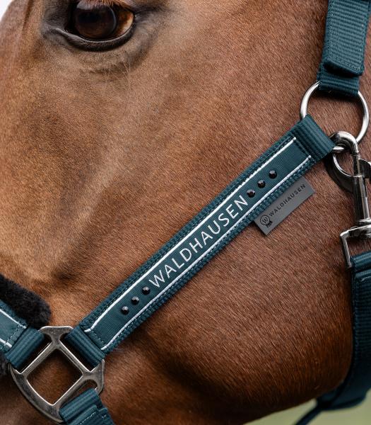 Waldhausen Halfter Elegant | Vollblut