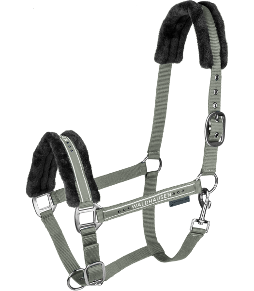 Waldhausen Halfter Elegant | Vollblut