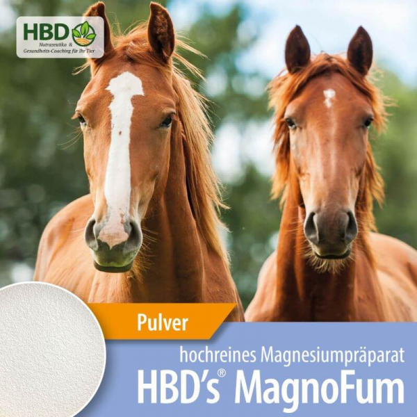 HBD’s MagnoFum 500g für Pferde