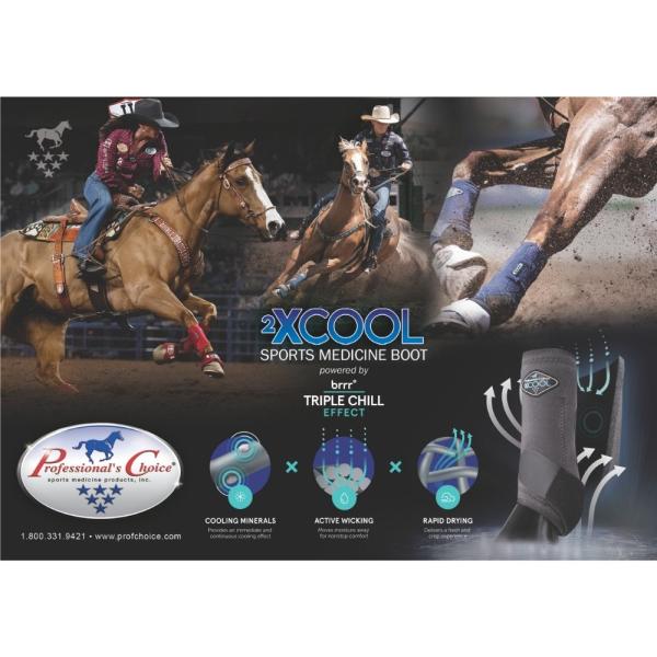 2XCool Vorderbein-Gamaschen für Pferde von Professionals Choice, 2er Set – leichte, atmungsaktive Schutzgamaschen