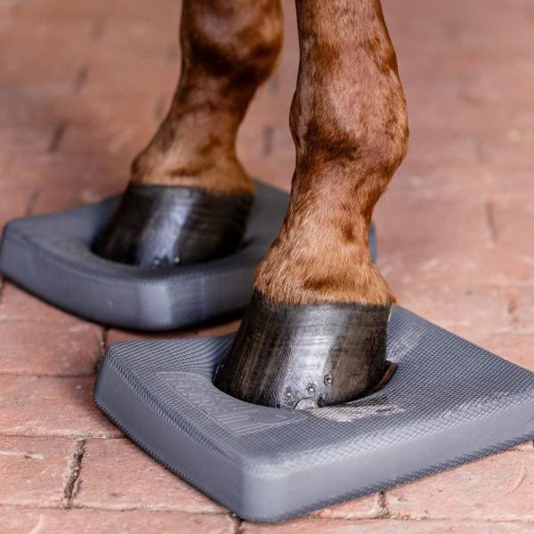 Waldhausen Health and Care Balance Pads für das Gleichgewichtstraining beim Pferd, Detailansicht