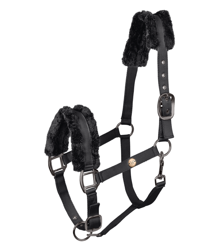 Waldhausen Halfter Modern Rosé | Warmblut