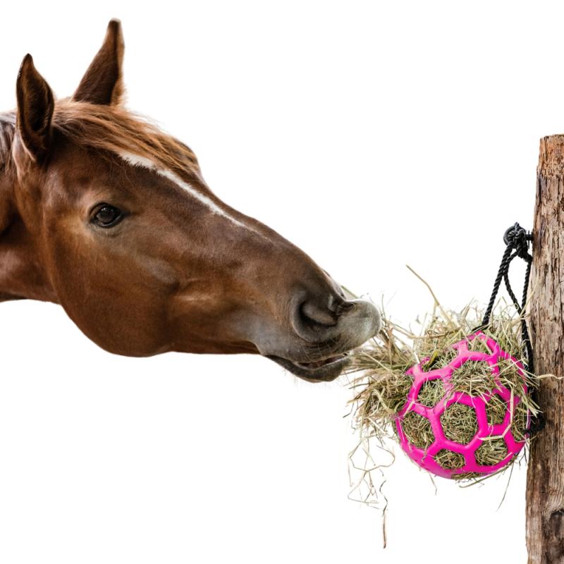 heuball slowfeeder futterspielball beschaeftigungsball pink pferd