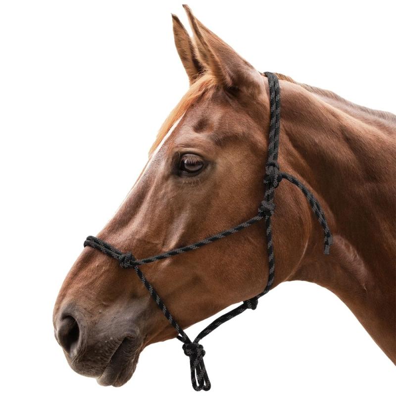 Waldhausen Knotenhalfter für Bodenarbeit und Horsemanship Training schwarz und braun am Pferd