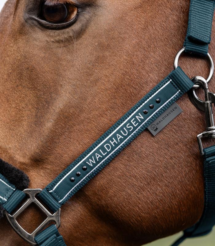 Waldhausen Halfter Elegant | Vollblut