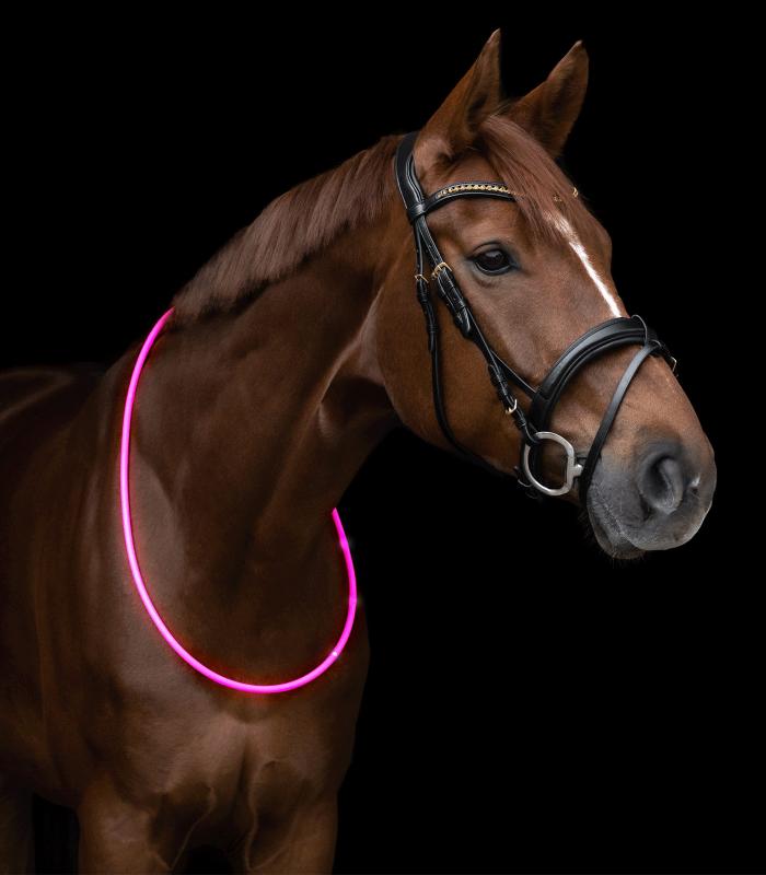 Waldhausen LED-Leuchthalsring für Pferde