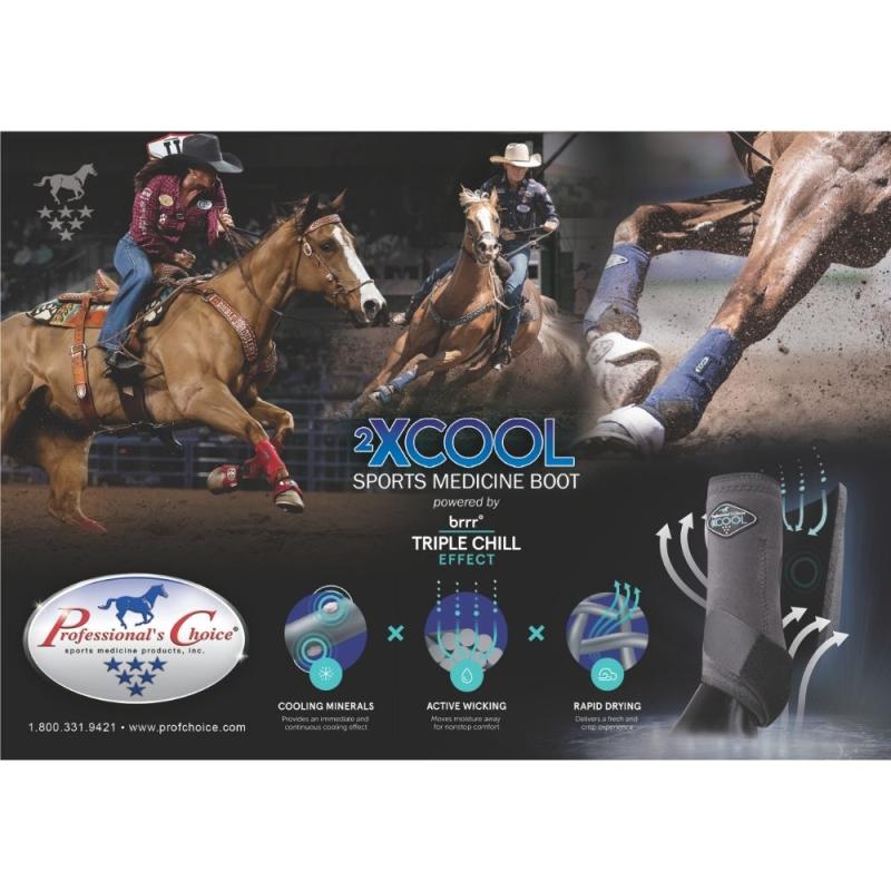 2XCool Vorderbein-Gamaschen für Pferde von Professionals Choice, 2er Set – leichte, atmungsaktive Schutzgamaschen