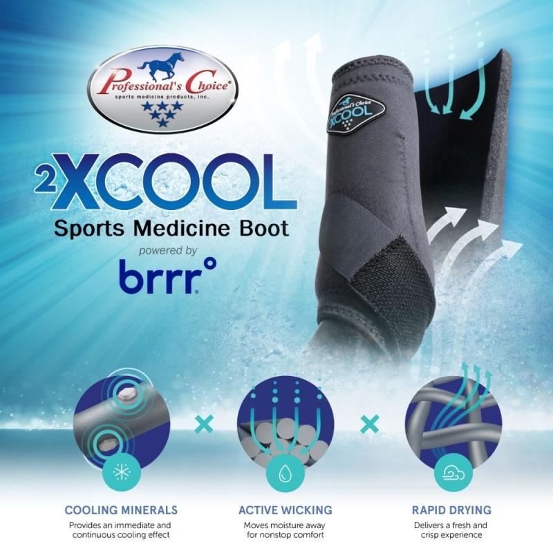 2XCool Vorderbein-Gamaschen für Pferde von Professionals Choice, 2er Set – leichte, atmungsaktive Schutzgamaschen
