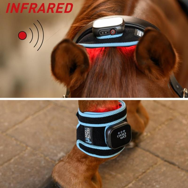 Waldhausen Health and Care Infrared FlexPad bei der Infrarot-Anwendung am Pferd, Übersicht mit Kopf und Bein