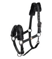 Waldhausen Halfter Modern Rosé | Warmblut