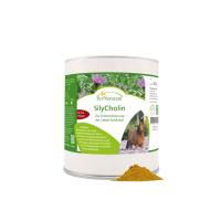 PerNaturam SilyCholin 0,5kg | Unterstützung der Leber