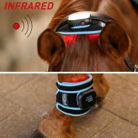 Waldhausen Health and Care Infrared FlexPad bei der Infrarot-Anwendung am Pferd, Übersicht mit Kopf und Bein